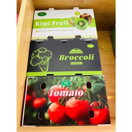 Danpla Plastic Produce & Fruit Packaging Box